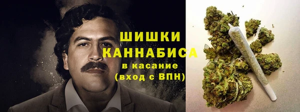 мет Гусев
