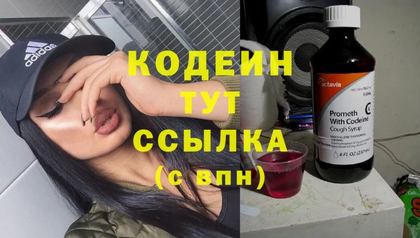 мет Гусев