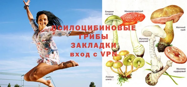 мет Гусев