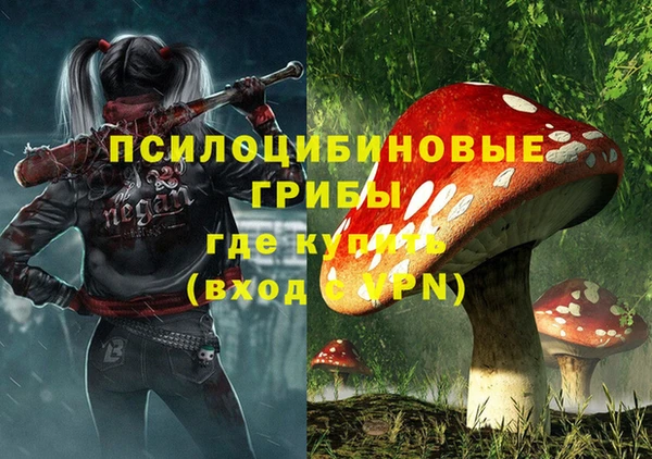 мет Гусев