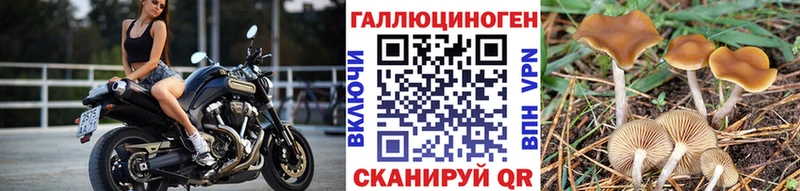 сколько стоит  Бердск  Галлюциногенные грибы мицелий 